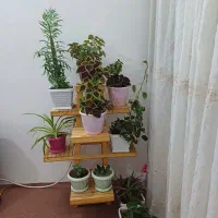 پایه گلدون چوبی در حد نو