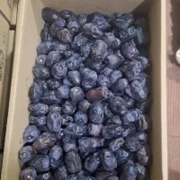 نیازمند نیرو خانم جهت کار در بسته بندی خرما