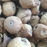 انواع آجیل و خشکبار و چای و شکلات|خوردنی و آشامیدنی|اصفهان, شاه پسند|دیوار