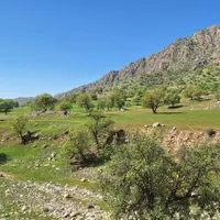 مفقود شدن کارت بانک ملی