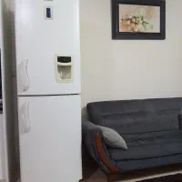 یخچال فریزر الکترواستیل