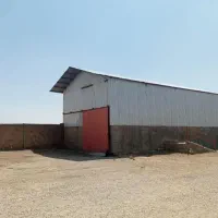 گاوداری صنعتی و زمین کشاورزی|فروش دفتر صنعتی، کشاورزی، تجاری|شیروان (لرستان), |دیوار