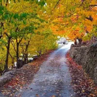 ۷۰۰ متر باغ در سنگان ۱۱ کیلومتری شمال غرب تهران|فروش خانه و ویلا|تهران, شهران شمالی|دیوار