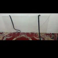 محافظ تلویزیون ۵۵ اینچ