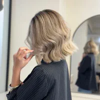 دستیار حرفه ایی رنگ ولایت