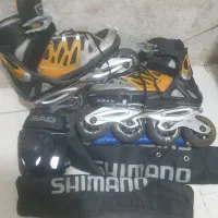 اسکیت  حرفه ای