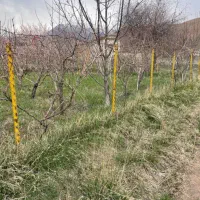 ۸۰۰ متر داخل بافت شهرک