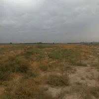 زمین کشاورزی|فروش زمین و ملک کلنگی|جوادآباد, |دیوار