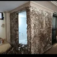 تخریب ساختمان با پیکور