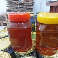 عسل/ارگانیک/اصل/اردبیل/با خلوص ۸۵ درصد|خوردنی و آشامیدنی|تهران, شهرک دانشگاه|دیوار