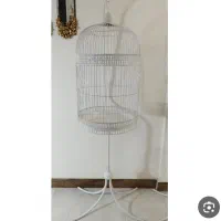 قفس عروس هلندی سالم