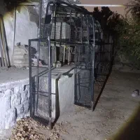 باربند و کفی ورق ضخیم آریسان ۲|قطعات یدکی و لوازم جانبی|تهران, تولید دارو|دیوار