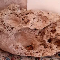 صخره وارداتی و مرجان سنگ