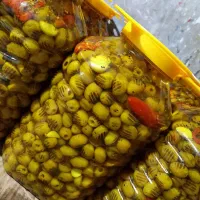 پخش زیتون های طعم دار و گریل شده|عمده‌فروشی|رودبار, |دیوار