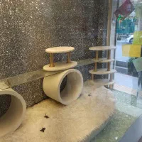 ویترین پیشخان دکورمغازه