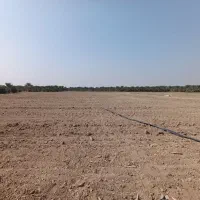 اجاره زمین کشاورزی حاصل خیز|اجارهٔ دفتر صنعتی، کشاورزی، تجاری|بلوک, |دیوار