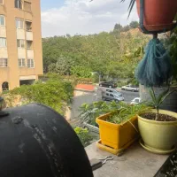 آپارتمان۹۰متری۲خ/فول/ویوجنگل۱۲سال/شیان|فروش آپارتمان|تهران, لویزان|دیوار
