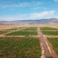 زمین-کشاورزی