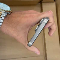 ایفون ۱۳ پرومکس ۲۵۶|موبایل|بوشهر, |دیوار