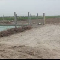 زمین باغی حاشیه جاده قدیم چناران