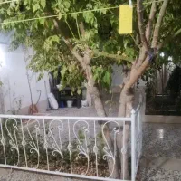 ویلای شیک و تکمیل فول امکانات ، سند دار در عدالت|فروش خانه و ویلا|گلبهار, شهر جدید گلبهار|دیوار