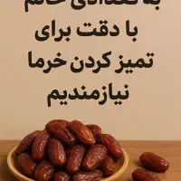 نیروی خانم برای تمیز کردن خرما در منزل خودشان