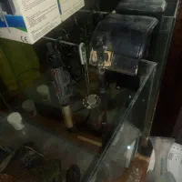 اکواریوم به همراه بخاری تصفیه دماسنج|ماهی|تهران, امیریه|دیوار