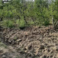 ویلاباغ درباغستان قدس فروش باغچه ۳۷۰متر|فروش زمین و ملک کلنگی|قدس, شهرک صنعتی زاگرس|دیوار