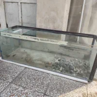 اکواریوم بزرگ