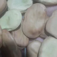 باقلا خشک هفت بند|خوردنی و آشامیدنی|کوهی‌خیل, |دیوار