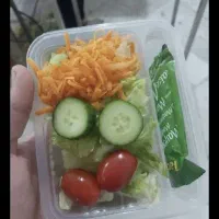 سالاد فصل و سبزیجات خرد شده