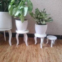 پایه گلدان|گل و گیاه طبیعی|سنقر, |دیوار