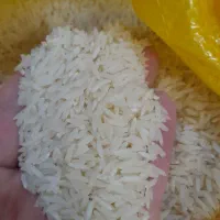 برنج درجه یک طارم گیلان به قیمت قبل
