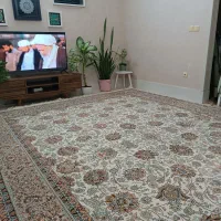 یک تخته فرش ۱۲ متری