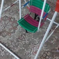 تاب