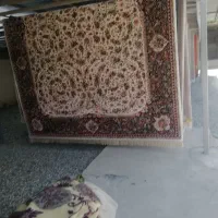 قالیشویی افق قدس|خدمات نظافت|قدس, شهر‌قدس|دیوار