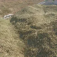 خار شتر درجه یک