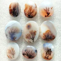 نگین عقیق شجر قائن و شجر رنگی انگشتر و گردنبند|جواهرات|صفادشت, |دیوار