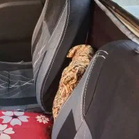 پیکان وانت مدل ۸۸|خودرو سواری و وانت|تهران, فردوس|دیوار