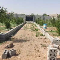 ۸۰۰متر باغ انار|فروش زمین و ملک کلنگی|مبارکه, |دیوار