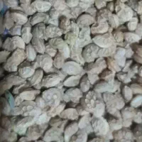 بذره یونجه،اسپرس،گلنگار تخم یونجه