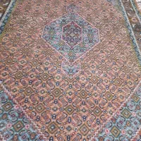 یک عدد فرش ۶ متری دست بافت ریزه ماهی و بدون ایراد