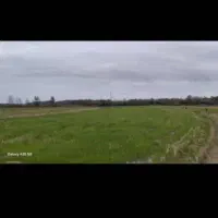 فروش زمین برنج شالیزار یا با معاوضه با خودرو