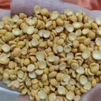 پخش عمده حبوبات|عمدهفروشی|کرج, شهرک صنعتی بهارستان|دیوار