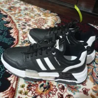 کفش|کیف، کفش، کمربند|نیشابور, گنبد سبز|دیوار