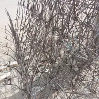 نرده حفاظ|مصالح و تجهیزات ساختمان|سراوان, |دیوار