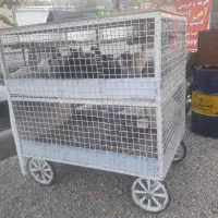 قفس مرغی دو طبقه|لوازم جانبی حیوانات|بومهن, |دیوار