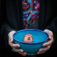 رب انار ملس