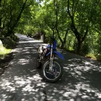 موتور تریل احسان 250|موتورسیکلت|اسکو, |دیوار