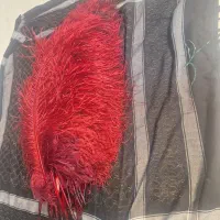 پر علم یا همون علامت